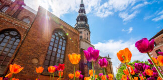 Eine Kirche hinter Tuplen